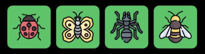 FLIES Daily Combo 11 June 2025